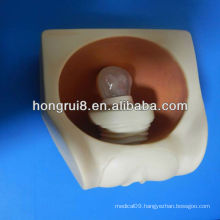 advance female condom practice model,condom model IUD